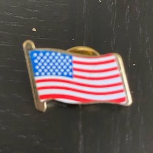 Set of 12 American flag pins
